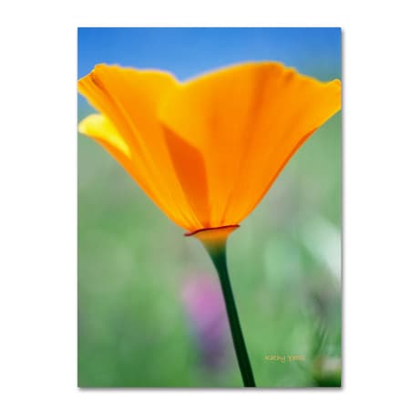 Trademark Fine Art Kathy Yates 'California Poppy Closeup' Canvas Art, 22x32 KY0031-C2232GG